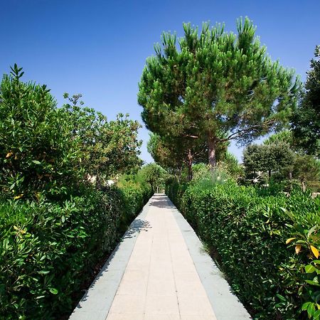 Residence Delle Gorette Marina di Cecina Exteriér fotografie